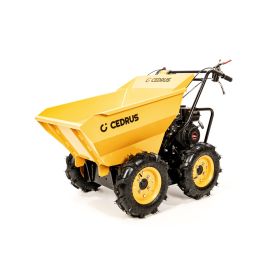 Transporter spalinowy Cedrus TR300