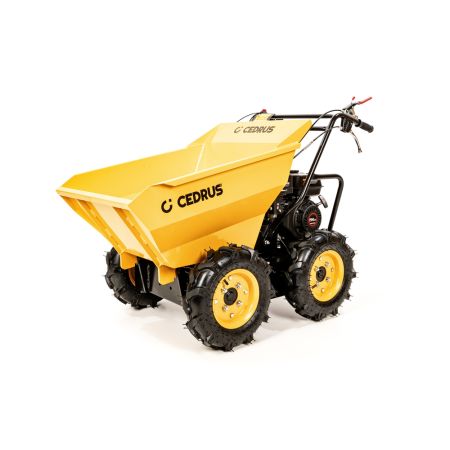 Transporter spalinowy Cedrus TR300