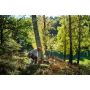 Pilarka spalinowa Husqvarna 450s o mocy 3,3 KM