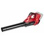 Dmuchawa akumulatorowa Cedrus Power+ B42LiX2