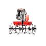 Glebogryzarka Loncin 600 82cm Loncin G200F