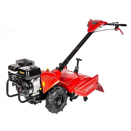Glebogryzarka CEDRUS GLX-GT65-2L o mocy 5,5 KM LONCIN