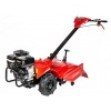 Glebogryzarka CEDRUS GLX-GT65-2L o mocy 5,5 KM LONCIN