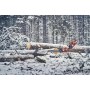 Pilarka spalinowa Husqvarna 560 XP® G Mark II o mocy 4,7 KM