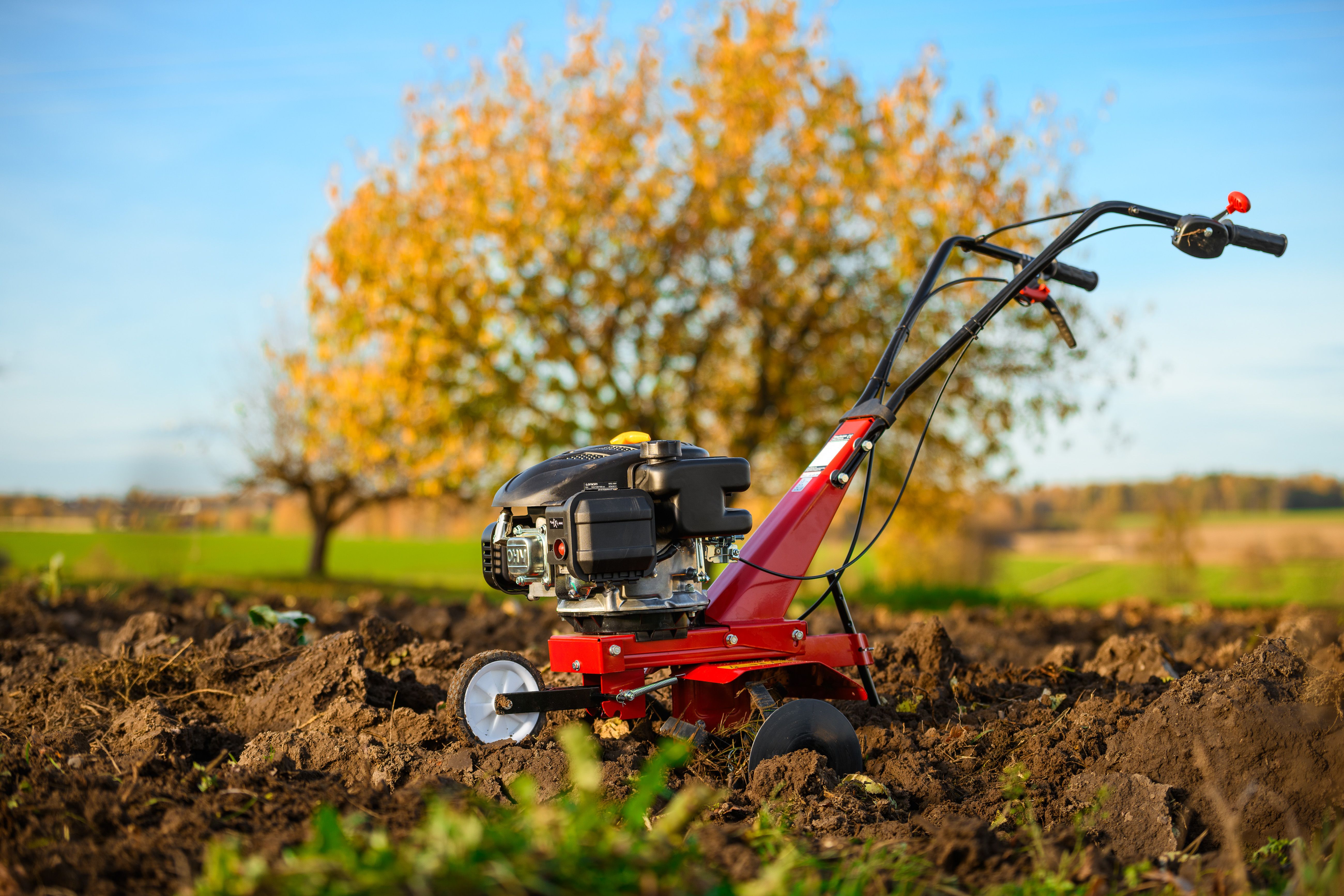 Jaką glebogryzarkę kupić? Kompletny poradnik wyboru + 5 błędów, które kosztują najwięcej